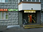 Beerloga (Glavmosstroya Street, 18), cervecería
