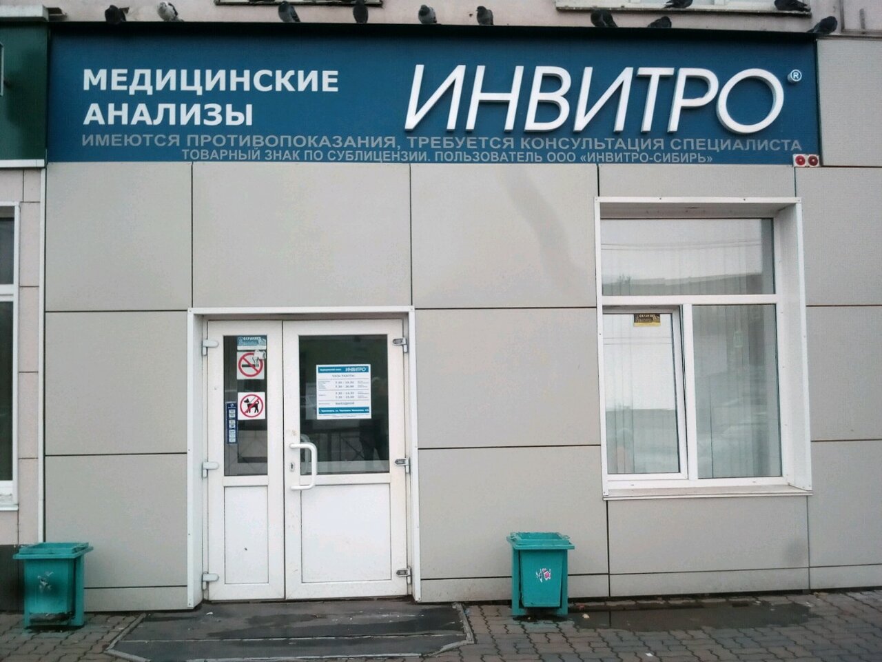 Invitro ул 9 мая 43 фото