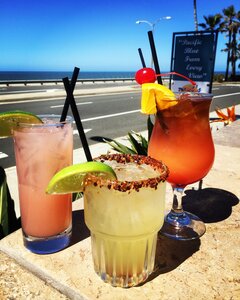 Dini's Bistro (California, San Diego County), restaurant