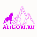 AliGori.ru