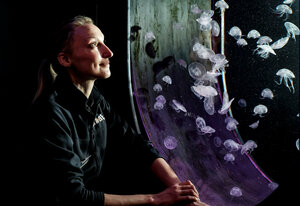 Sea Life Scarborough (Scarborough, Scalby Mills Road), landmark, attraction