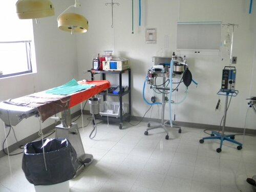 Vca west 86th street animal hospital sale