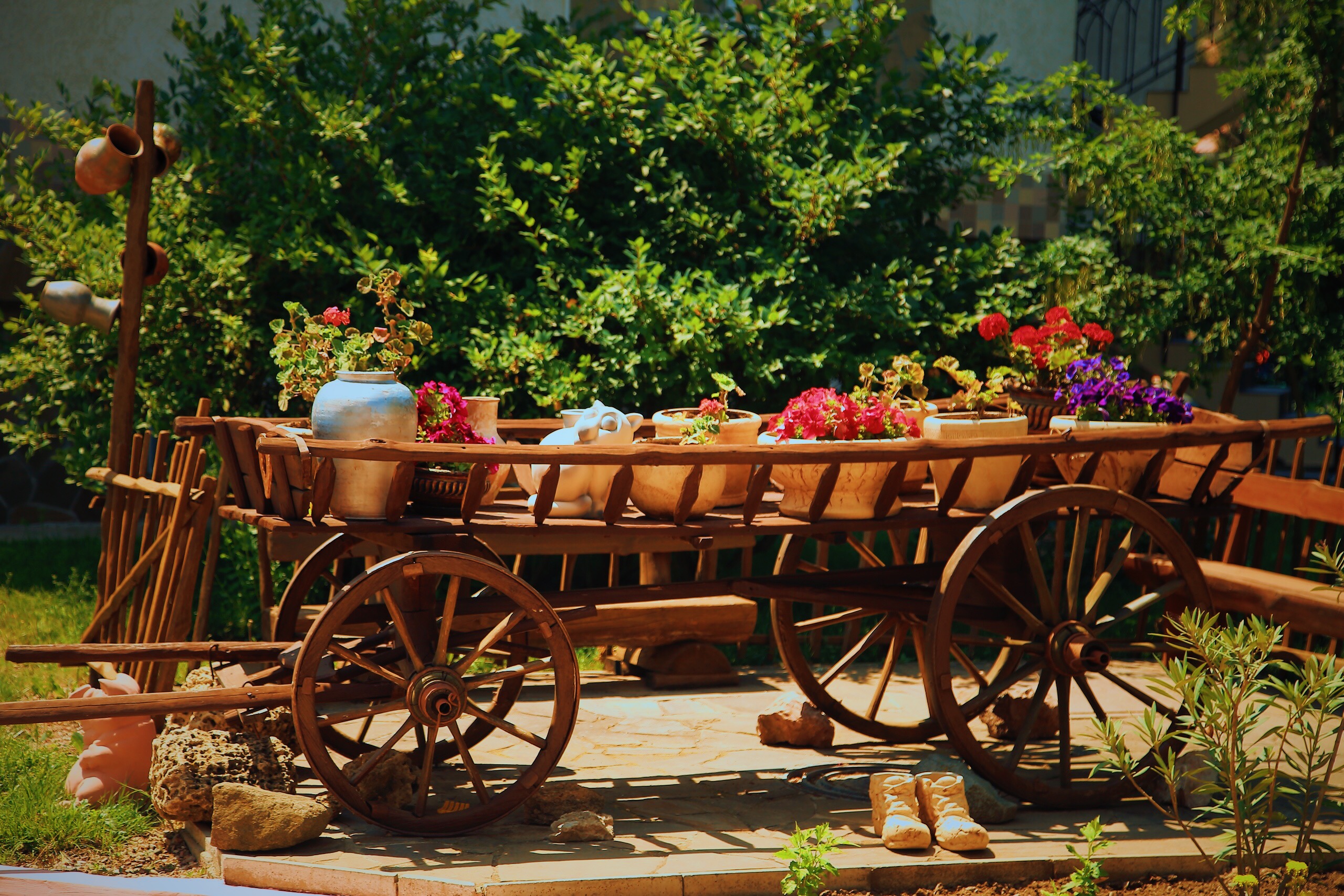 Фото Лига-Клуб