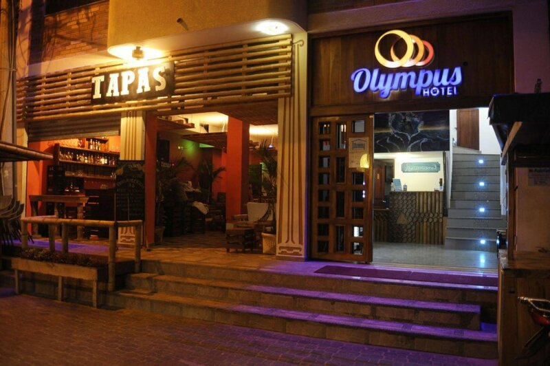 Гостиница Hotel Olympus