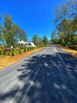 Marmara Sile Camping (İstanbul, Şile, Çavuş Mah., Üretken Sok., 6) ، منطقة تخييم