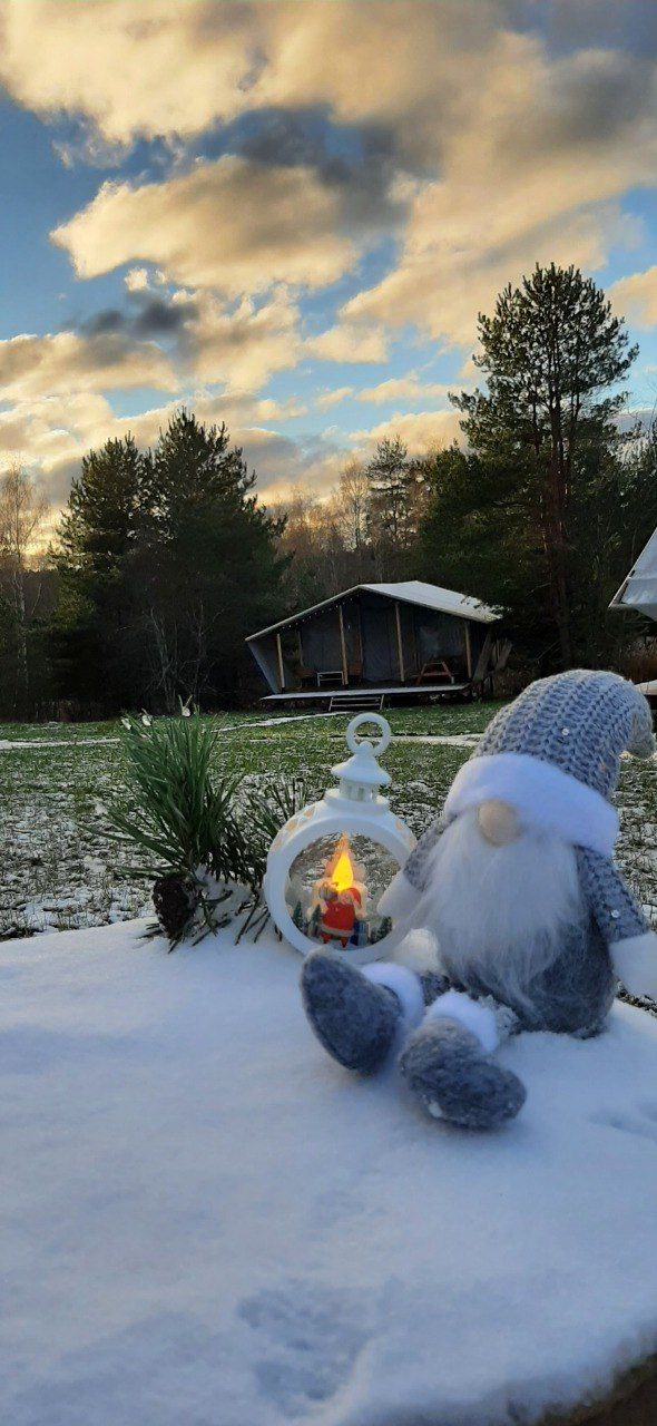 Фото Йети на комете