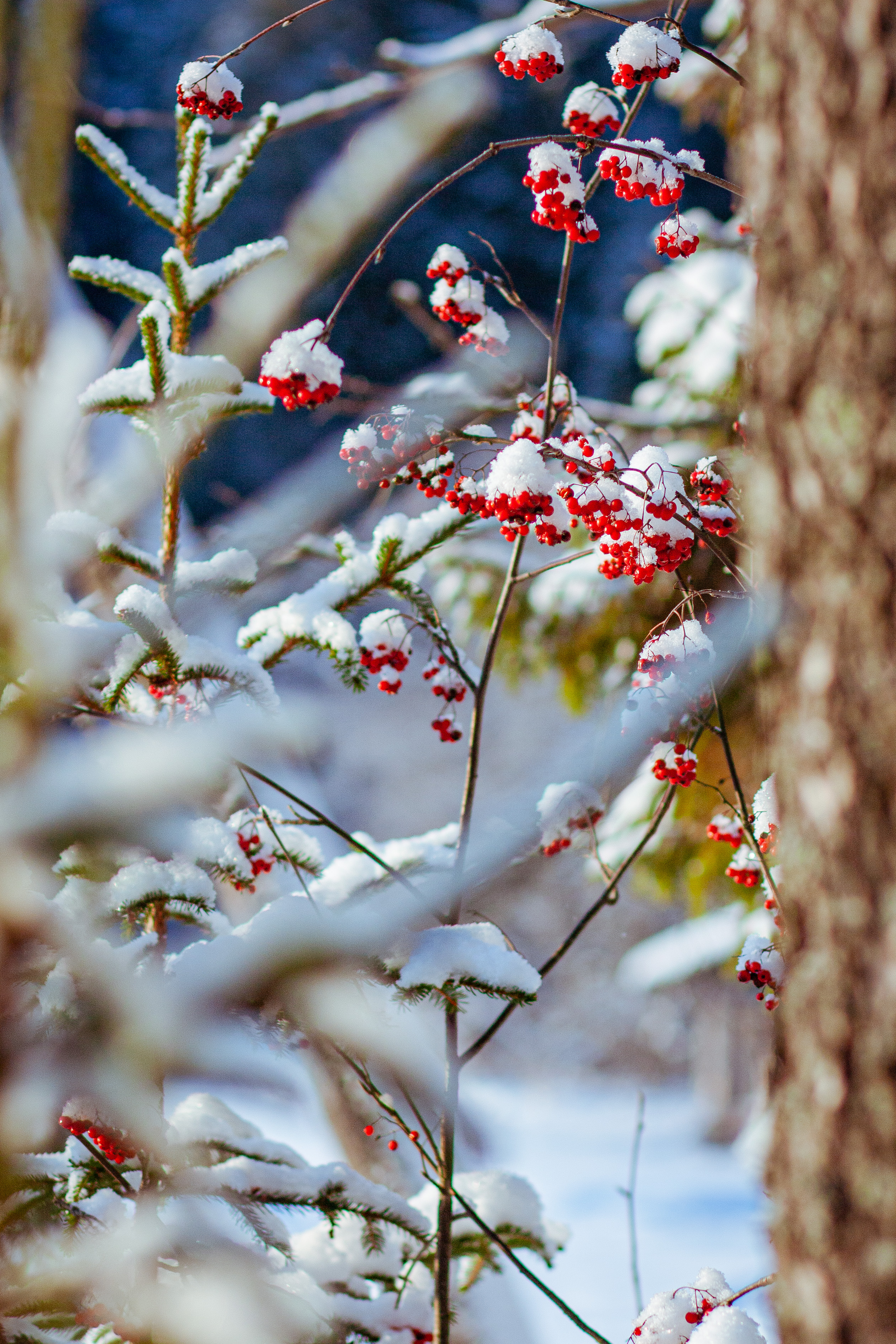 Фото LBerry Karelia