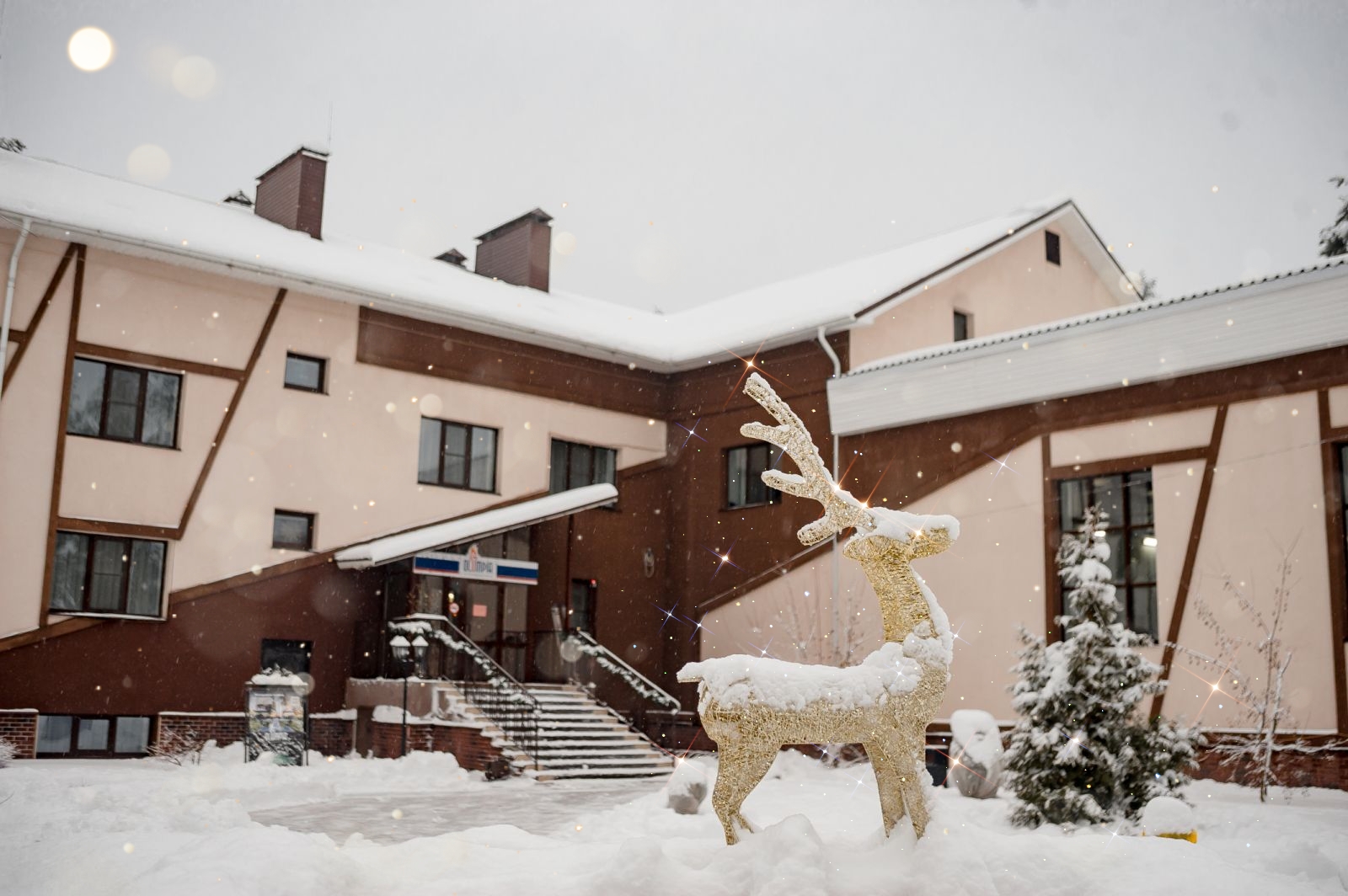 Фото Олимпия