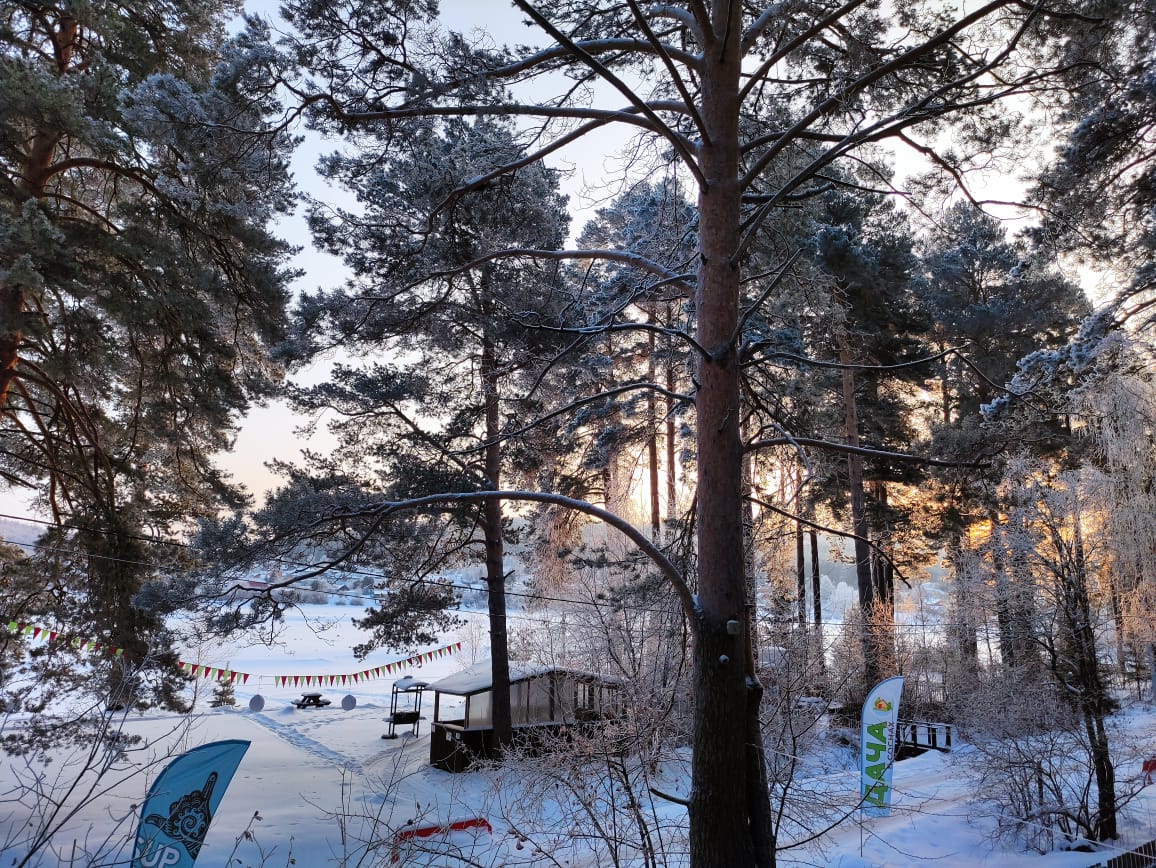 Фото Дача в соснах