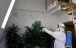 Dezgor (posyolok URMZ, Pechorskaya Street, 31), servicio sanitario y epidemiológico