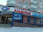 Albatros (Lomonosova Avenue, 117), supermercado