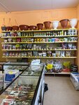 Sadovod (Pionerskaya ulitsa, 21), seed shop
