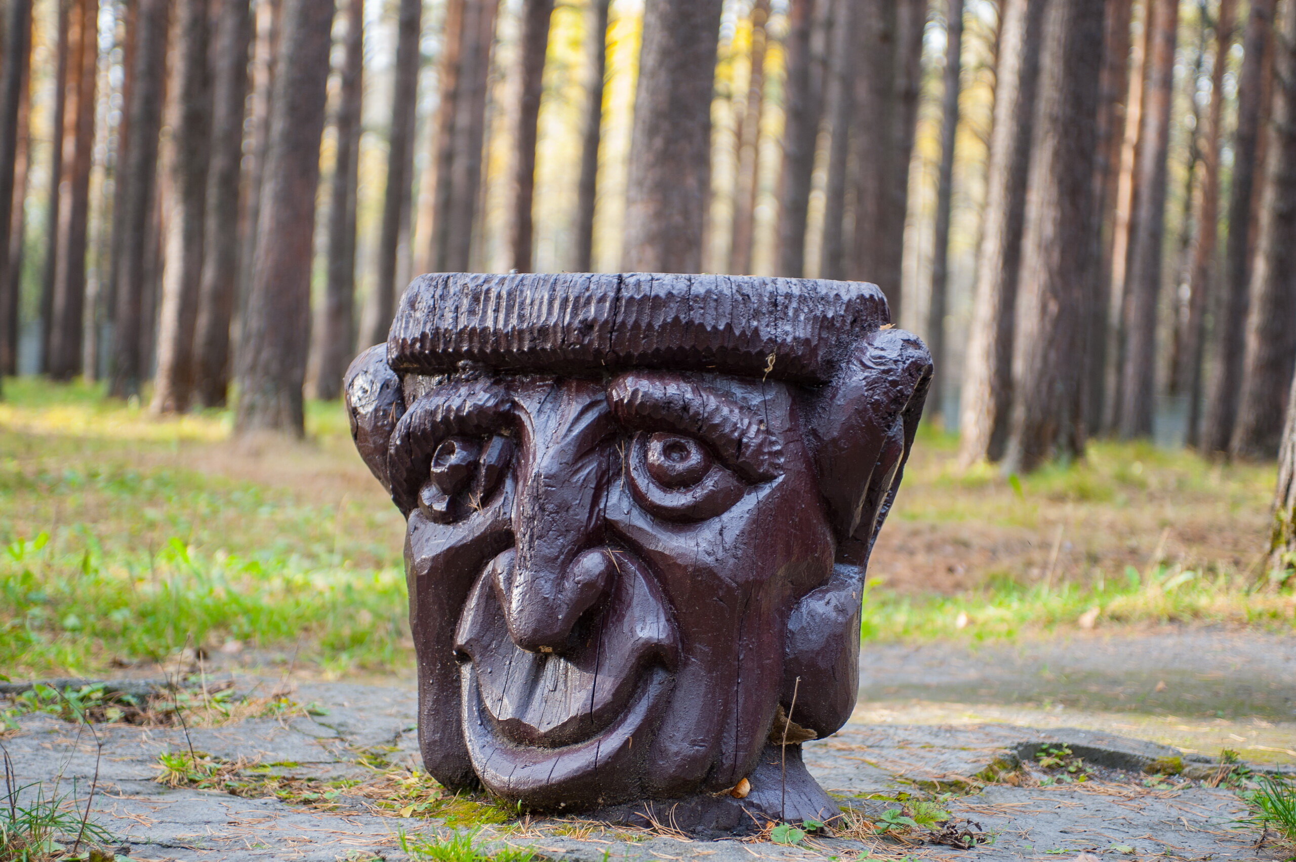 Фото Санаторий-профилакторий Дюжонок