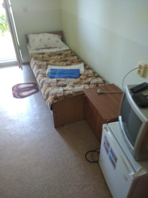 Фото Серебристая Чайка