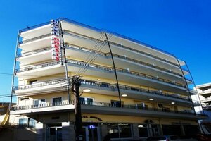 Гостиница Anesis Hotel