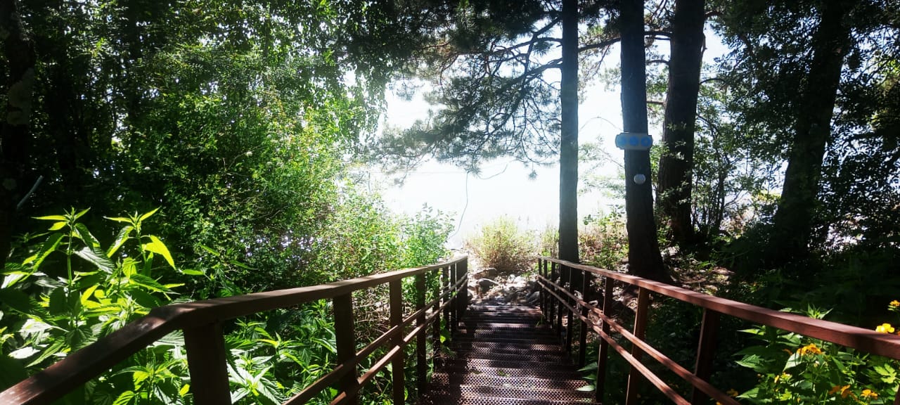 Фото Индиго