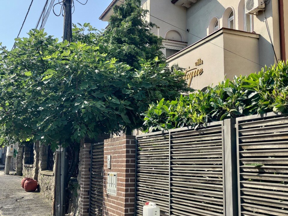 Фото Villa Mystique