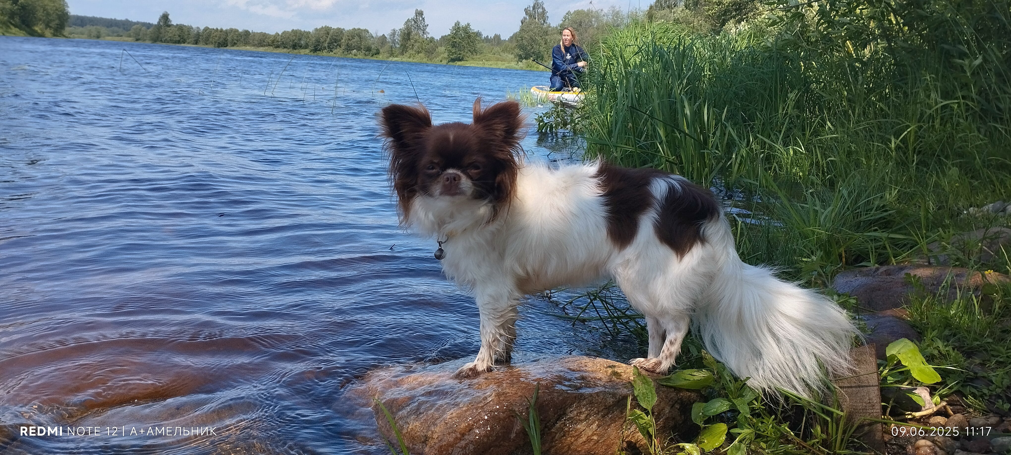 Фото Страна семи сов