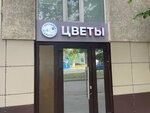 Песчаные Цветы (Bogdana Khmelnitskogo Avenue, 77), flower shop