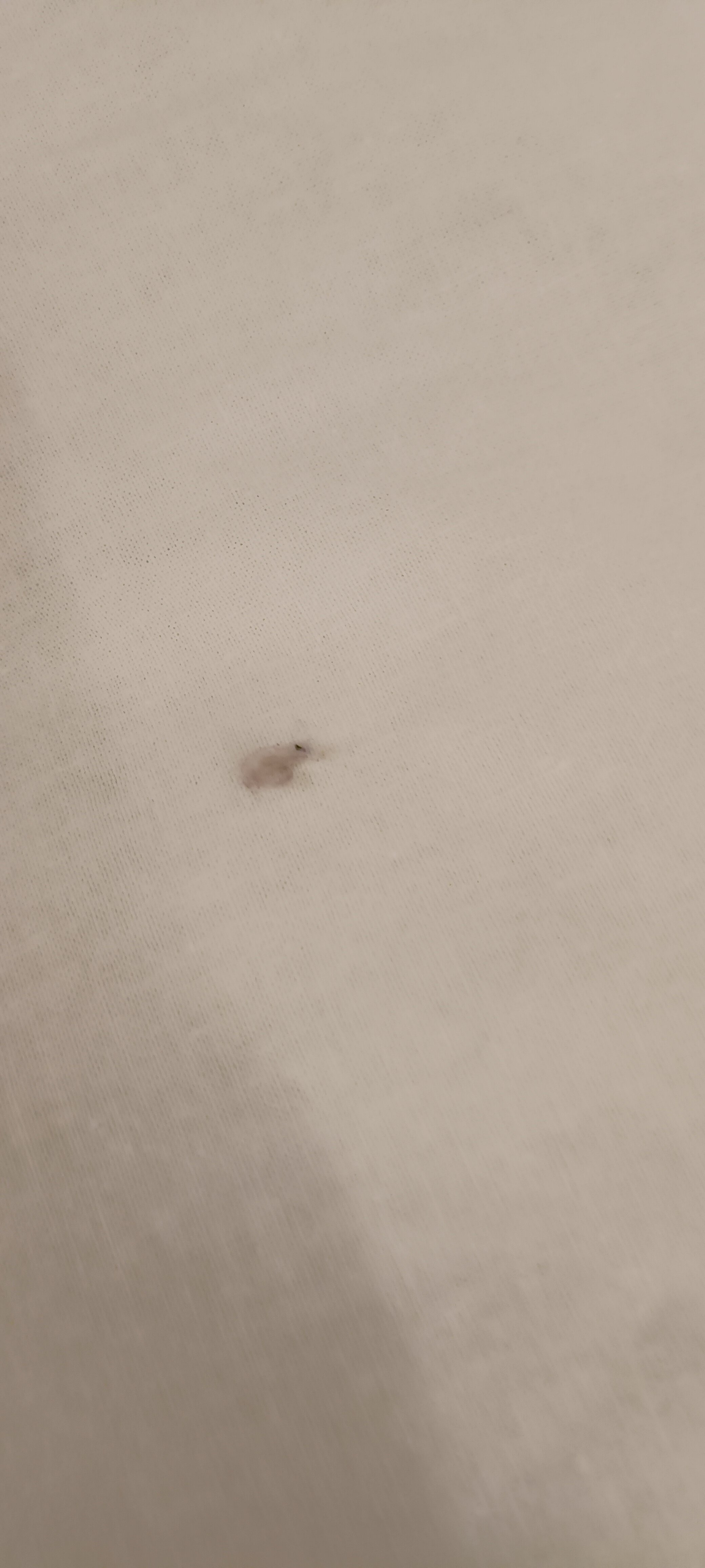 Фото Королевский пень