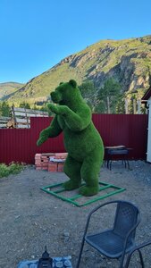 отель Шонкор