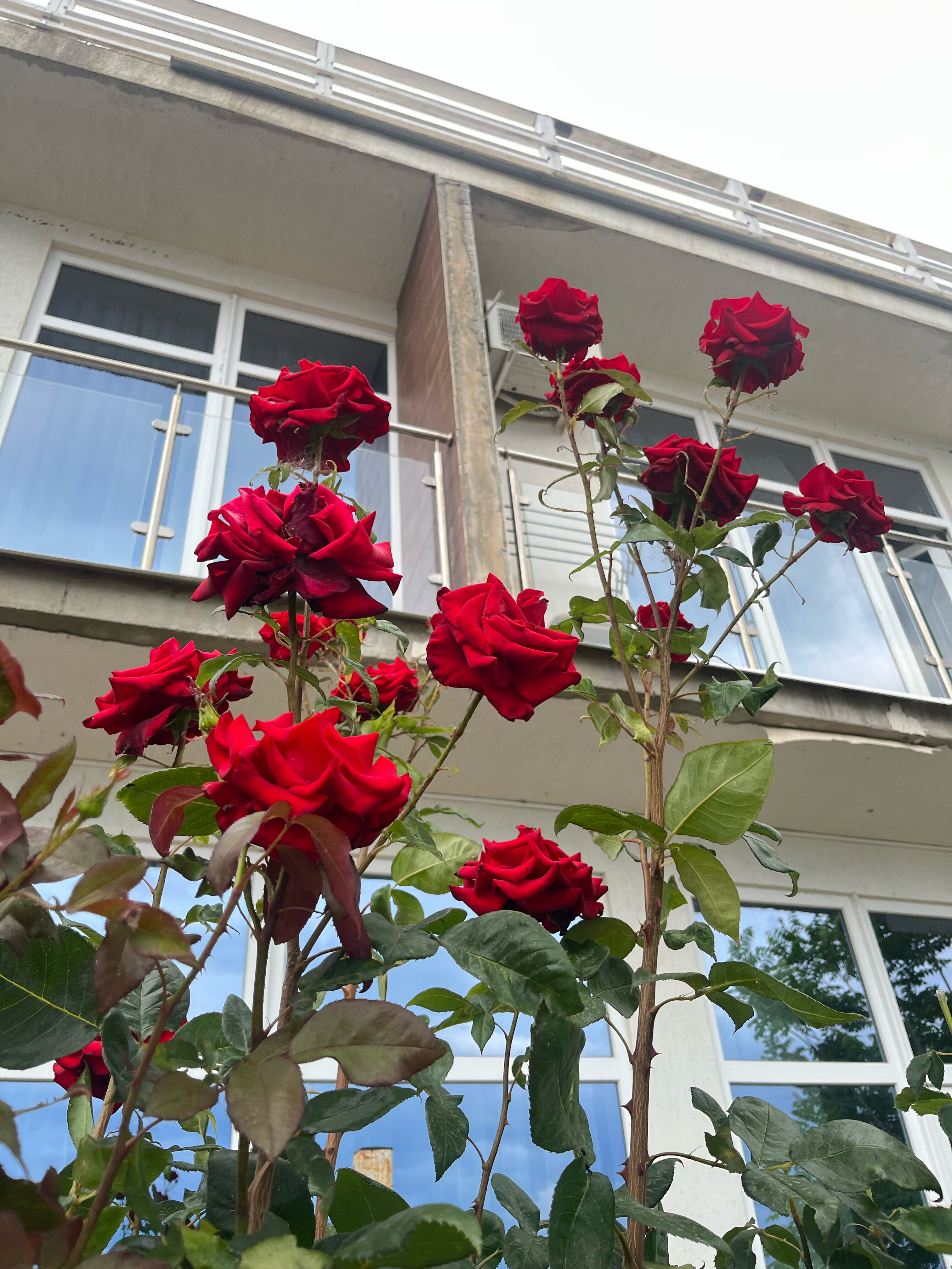 Фото Маре Инфинити