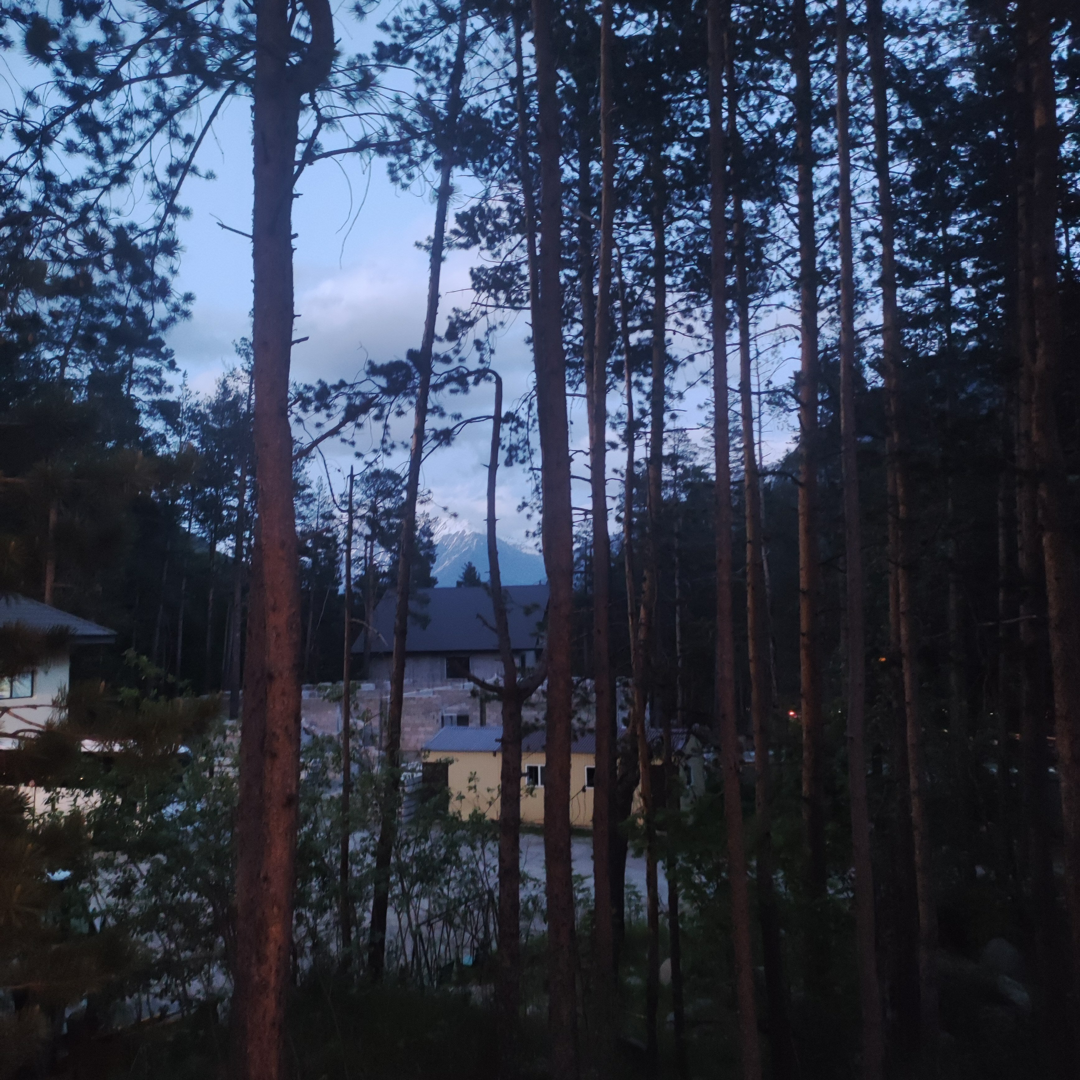 Фото Джаппу