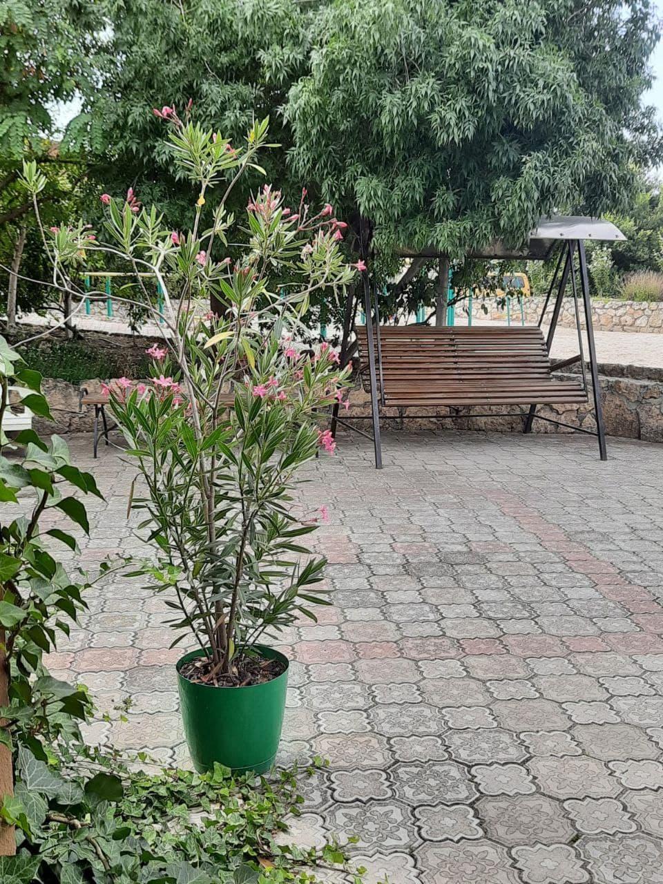 Фото Город-Ок