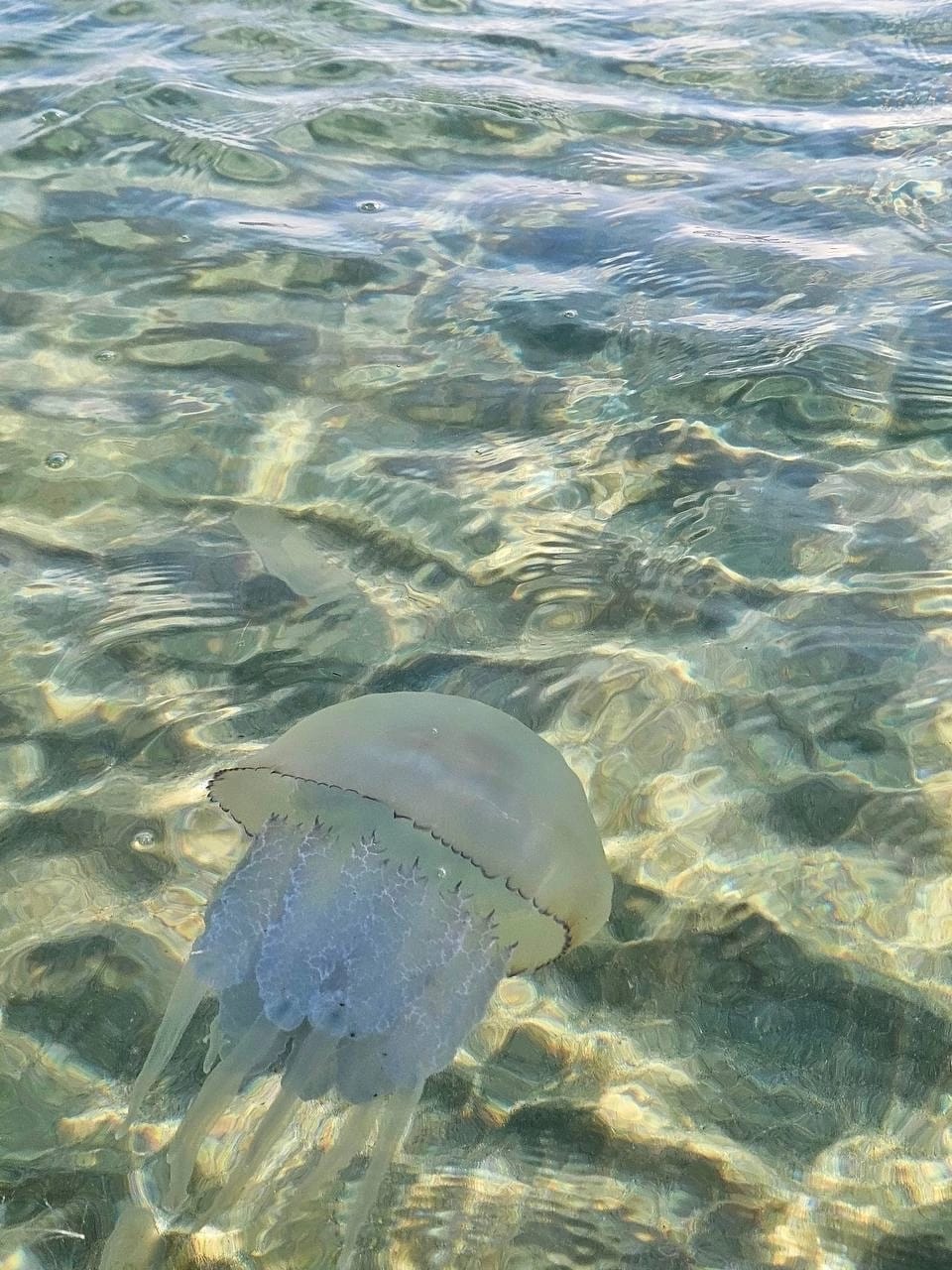 Фото Дамиан