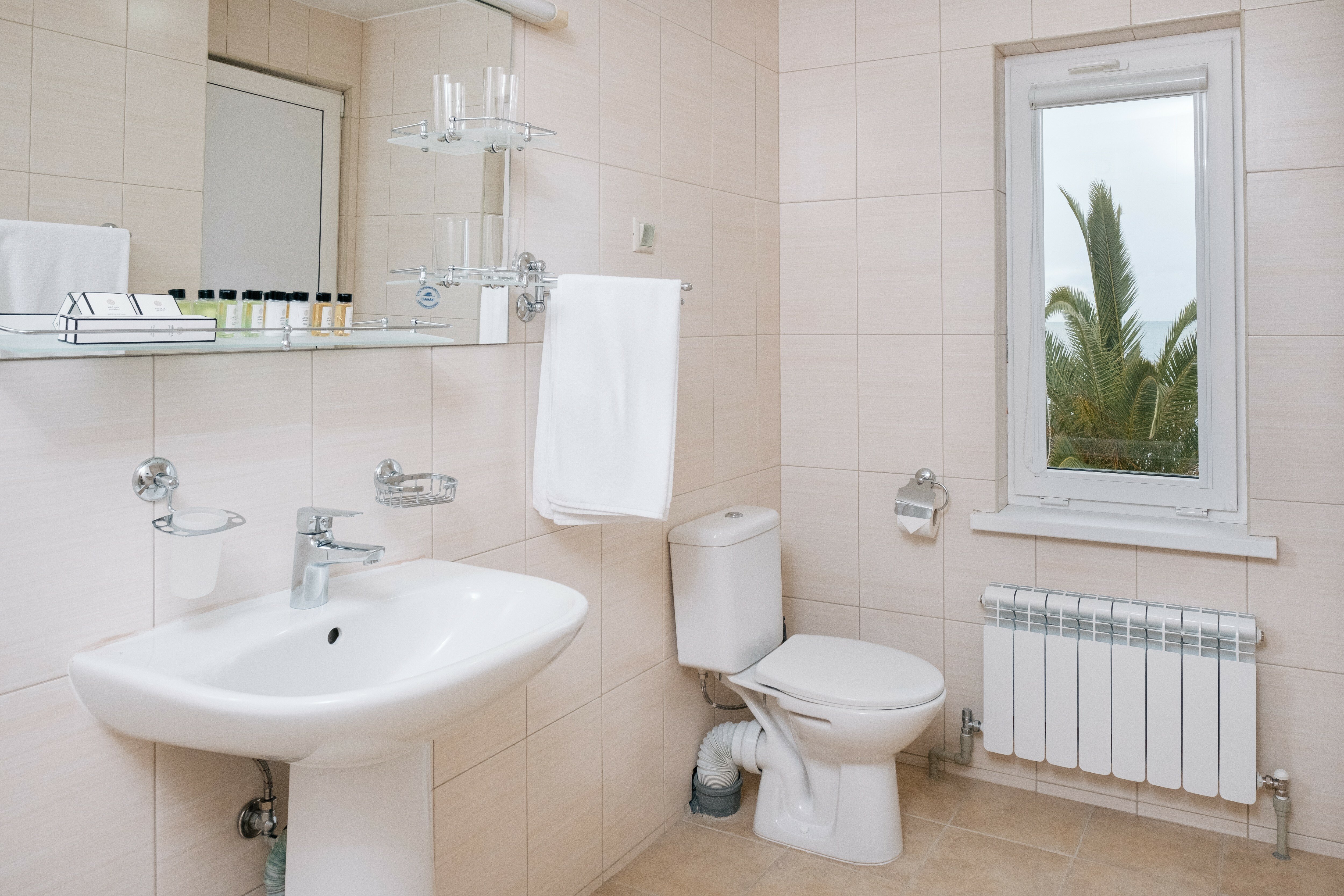 Фото Зелёная роща