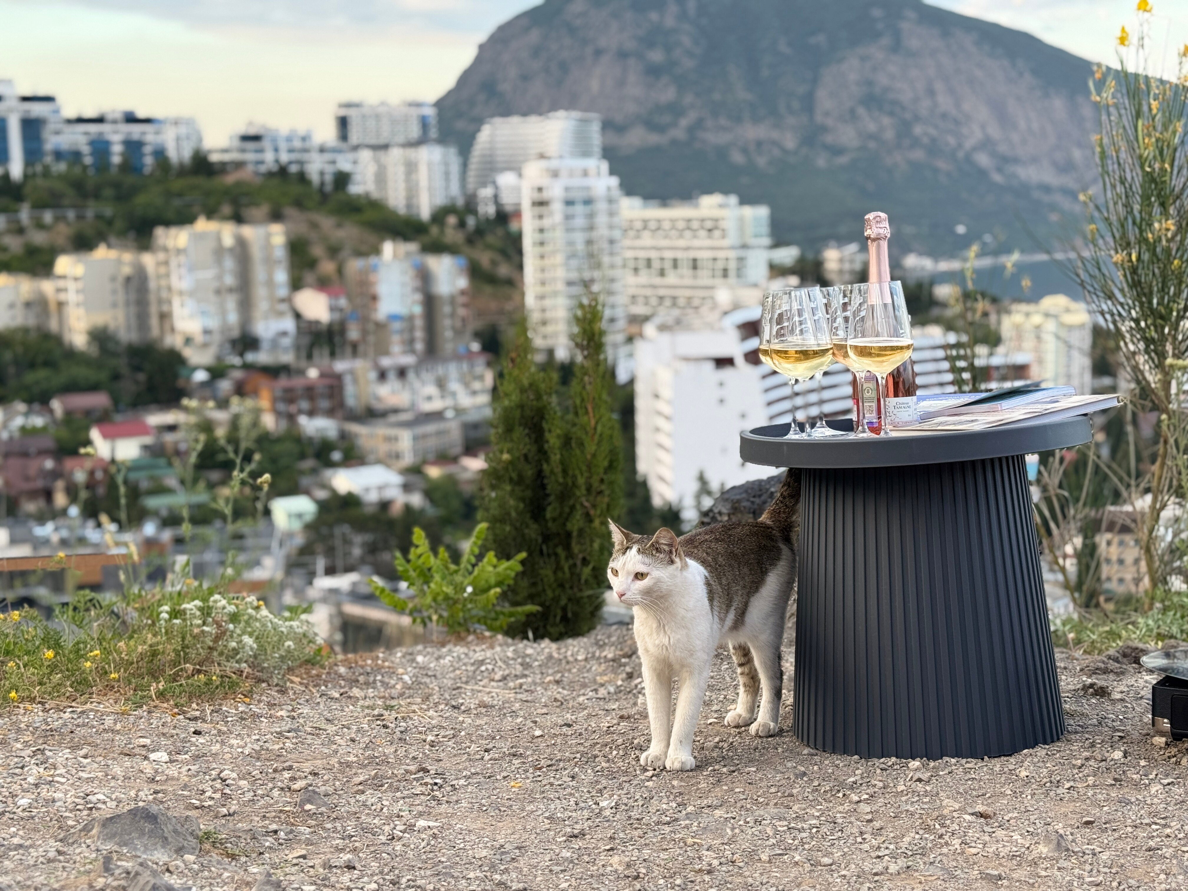 Фото RealRentier