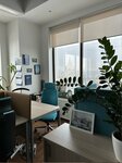 Bpc Processing (Zemlyanoy Val Street, 50Ас2), software companies