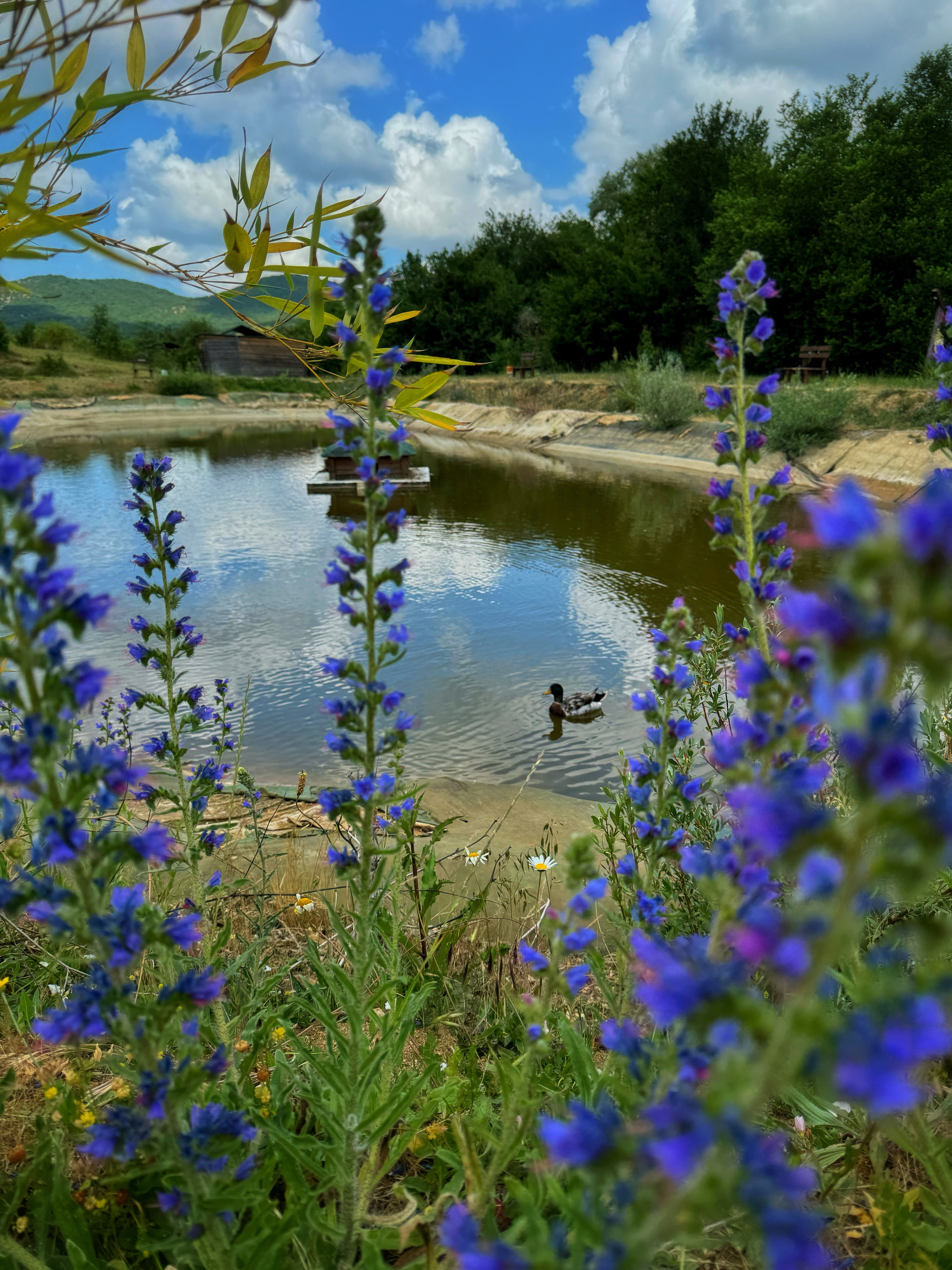 Фото Тихое Место