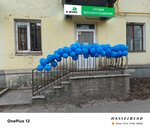 Klevep (prospekt Uritskogo, 61), educación adicional