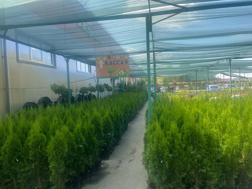 Бір уақытта көптеген әтештерді сорады