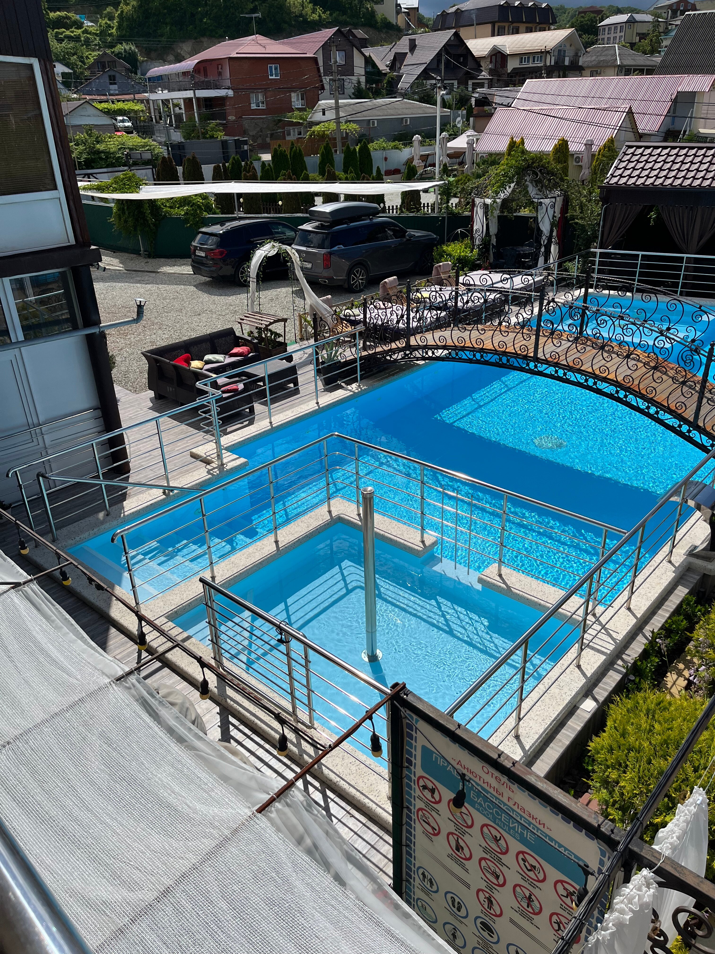 Фото Анютины Глазки