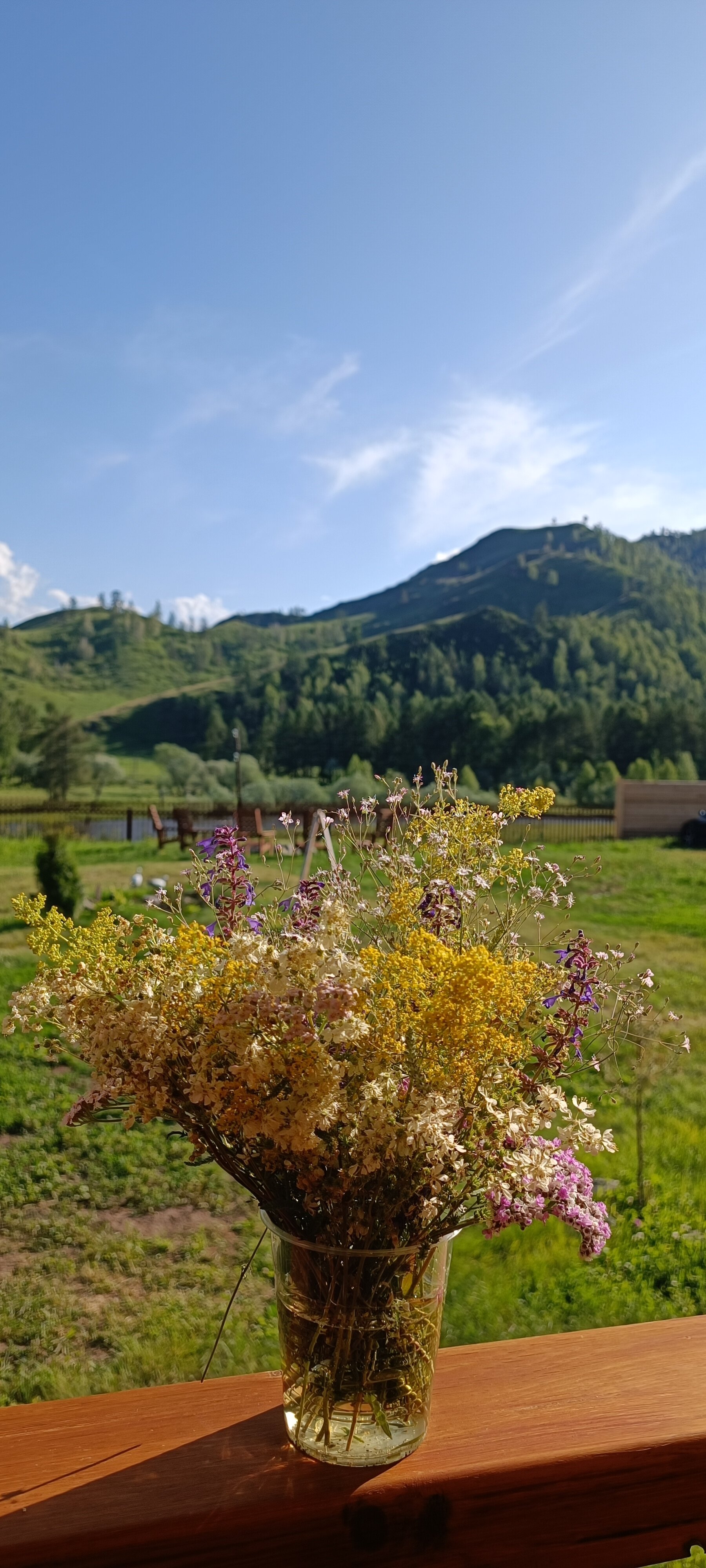 Фото Усадьба Мечталеси