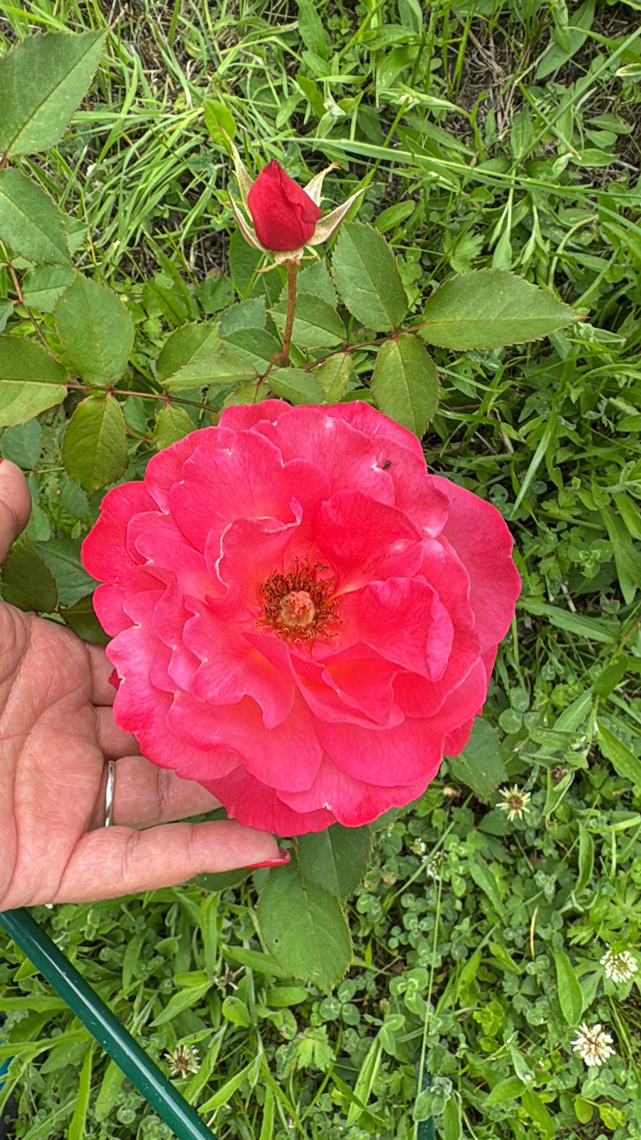 Фото Галерея Левитан