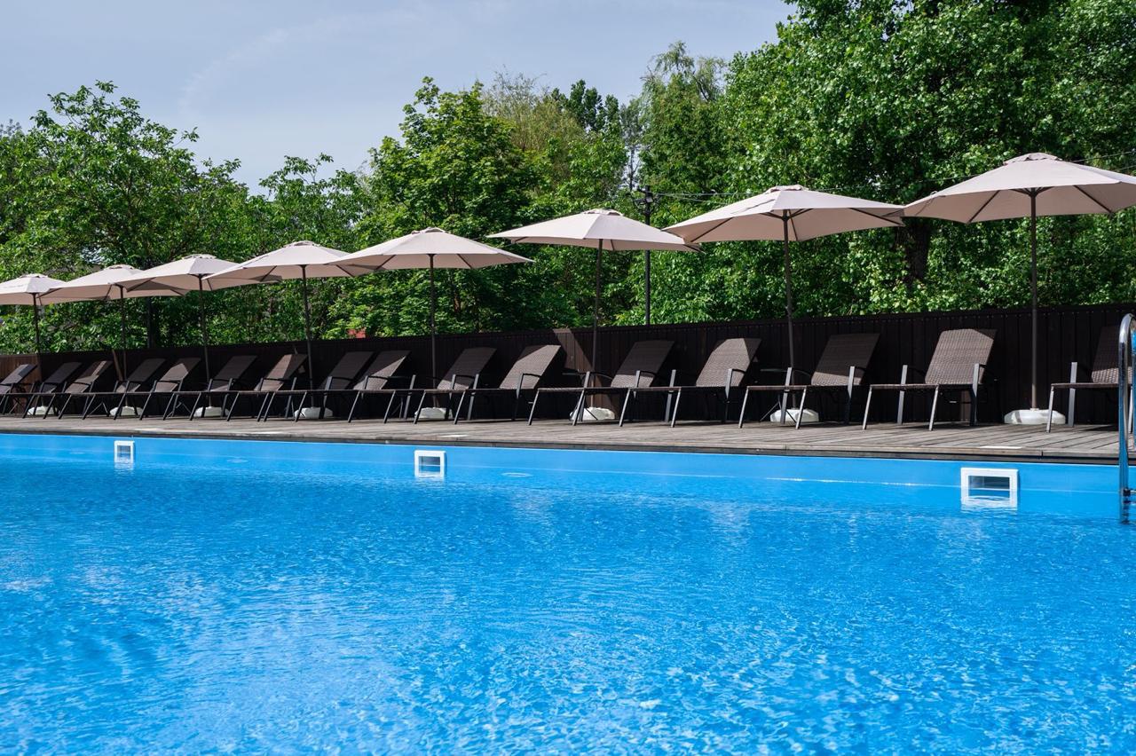 Фото Iva тенистая