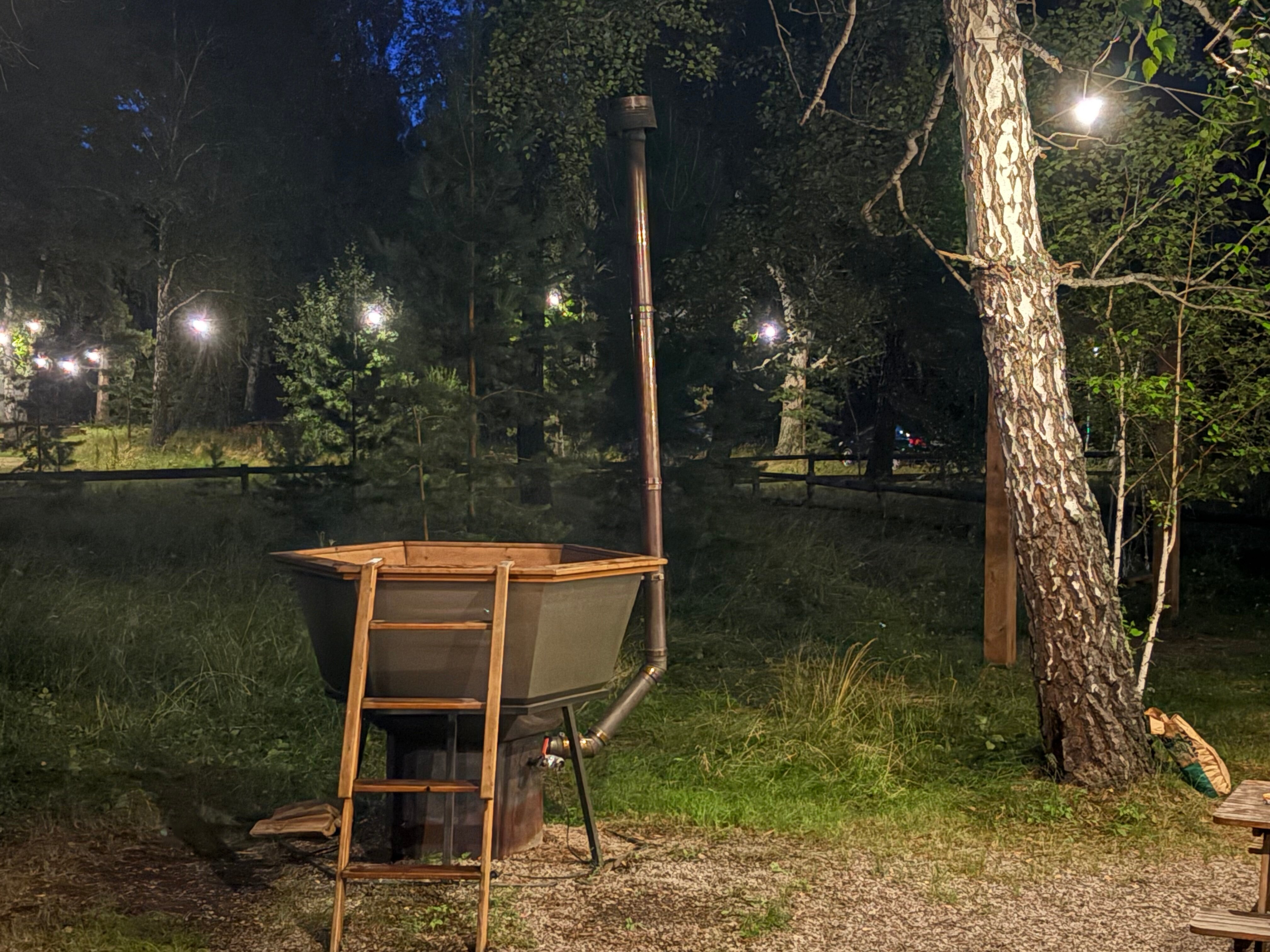 Фото Ветер в соснах