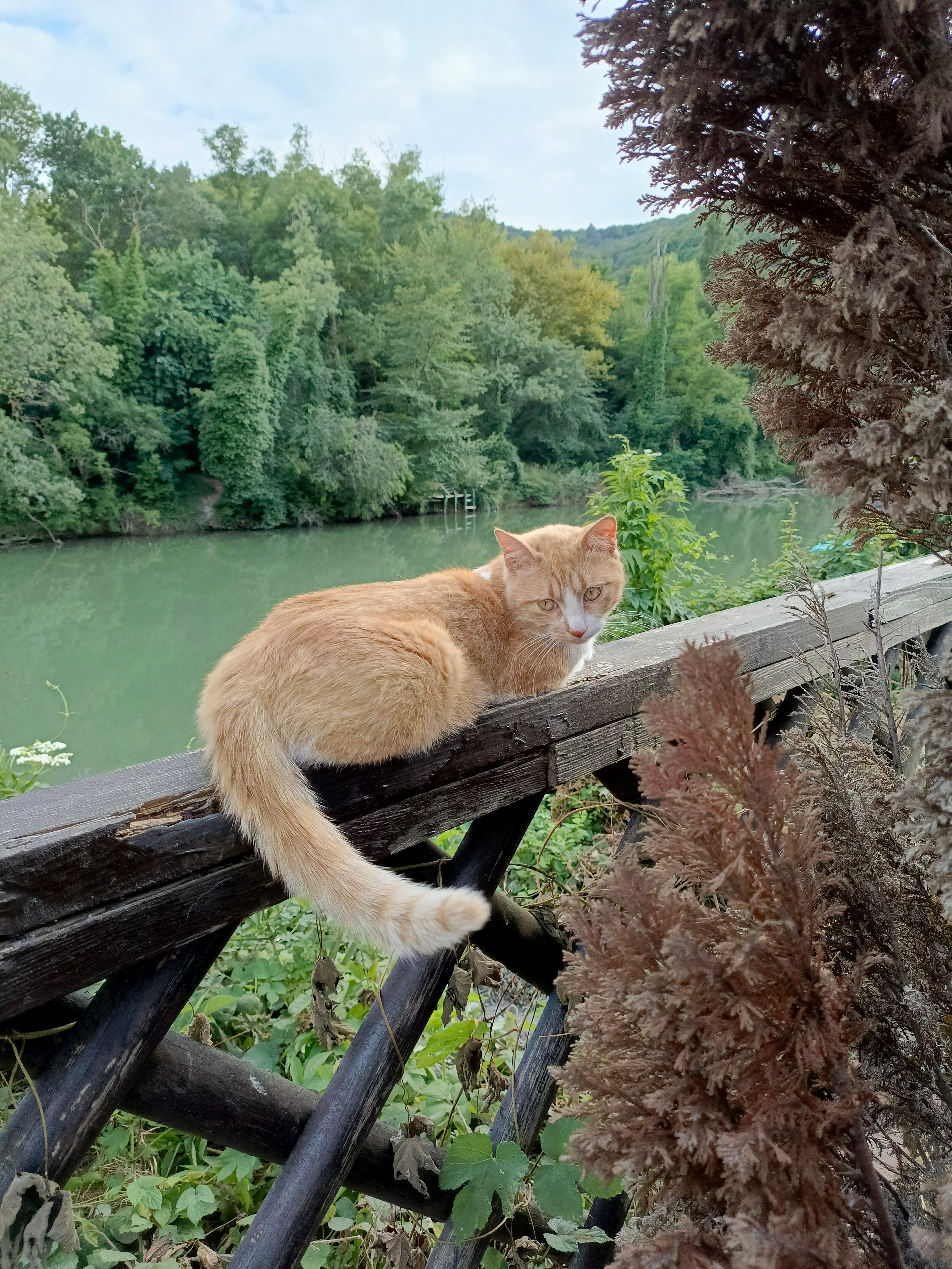 Фото Европа