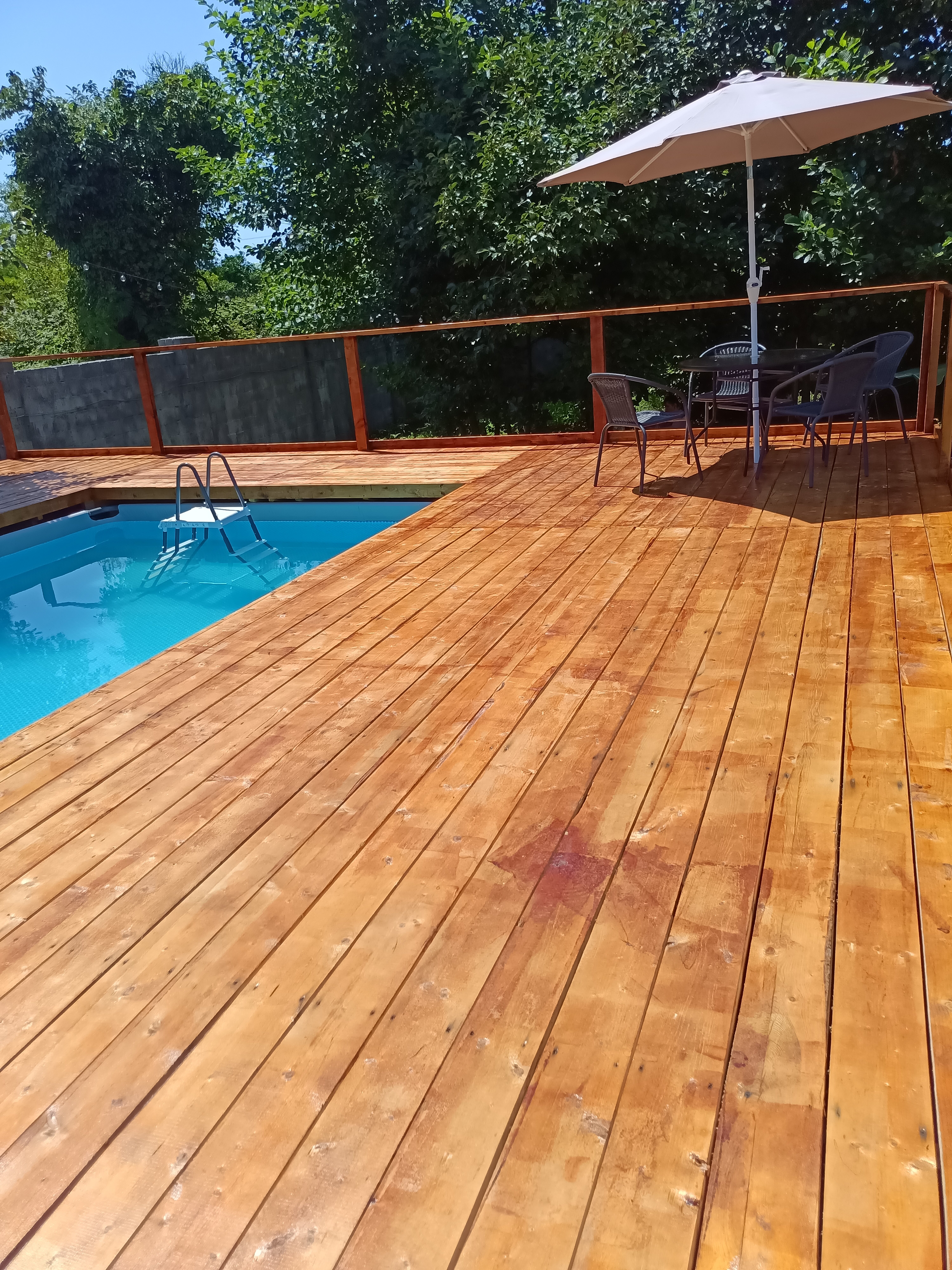 Фото Фазенда