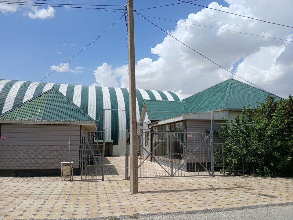 Chess club Akul, Chimkent, photo