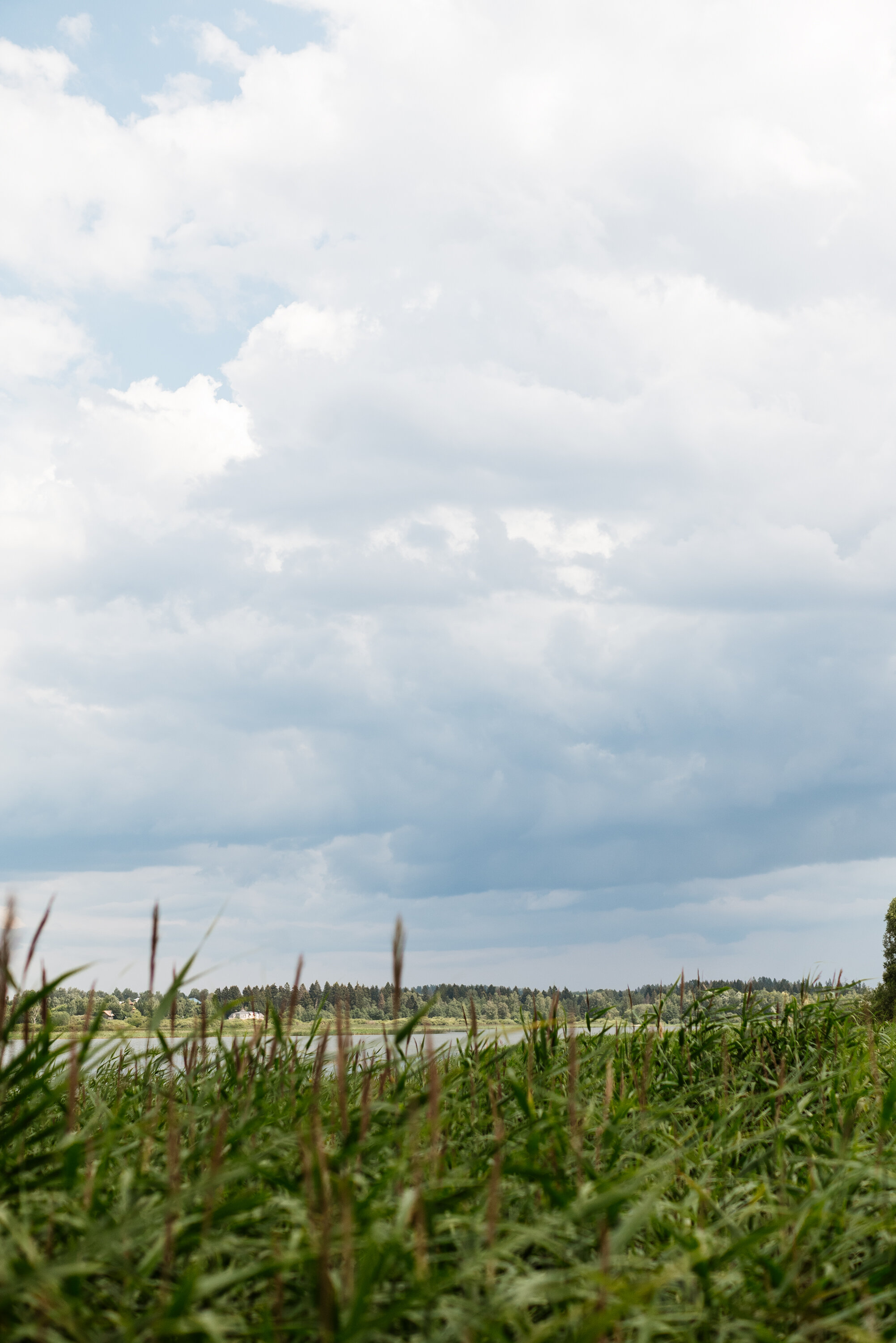 Фото Берег желаний