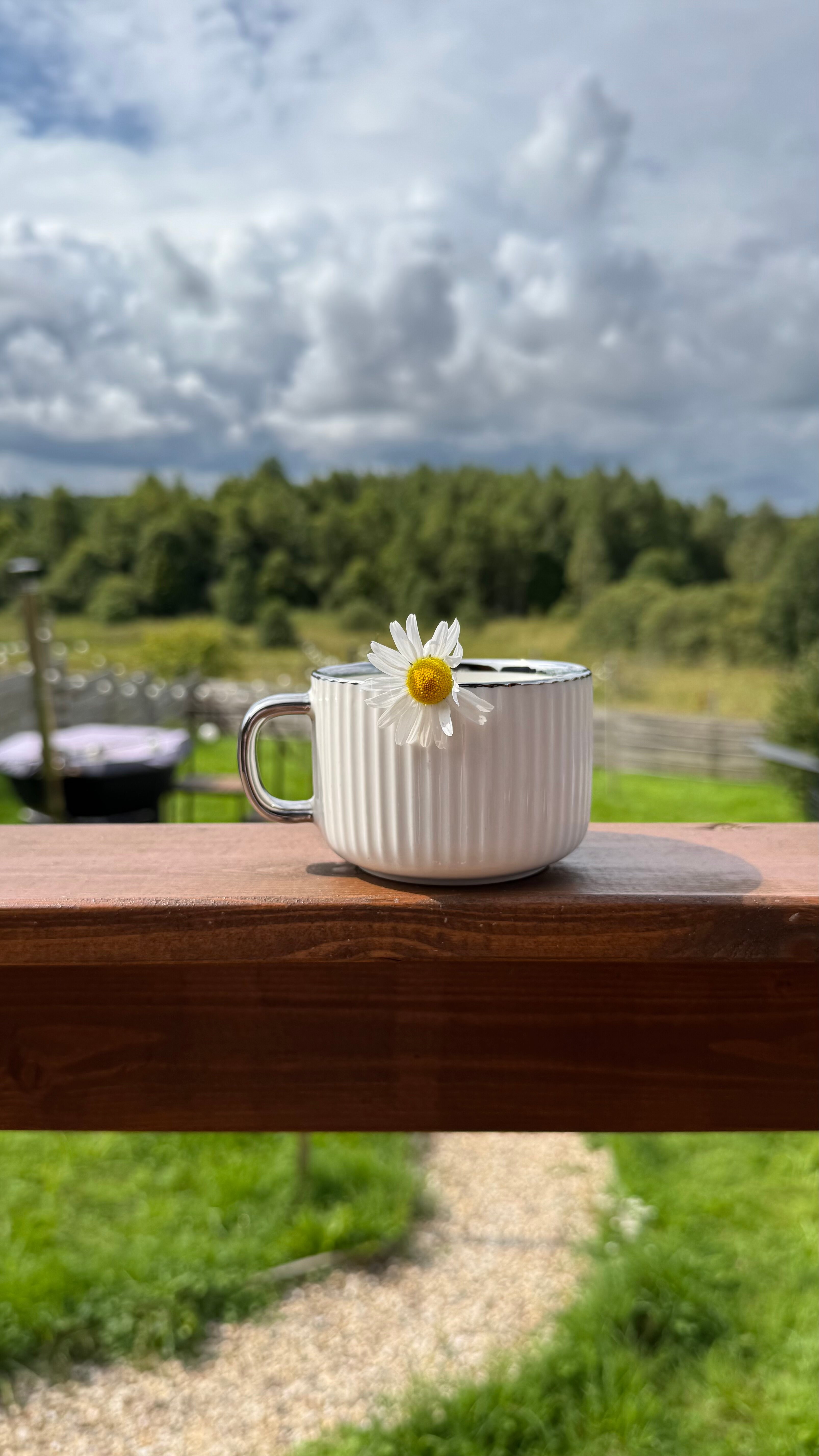 Фото Домик у Карьера