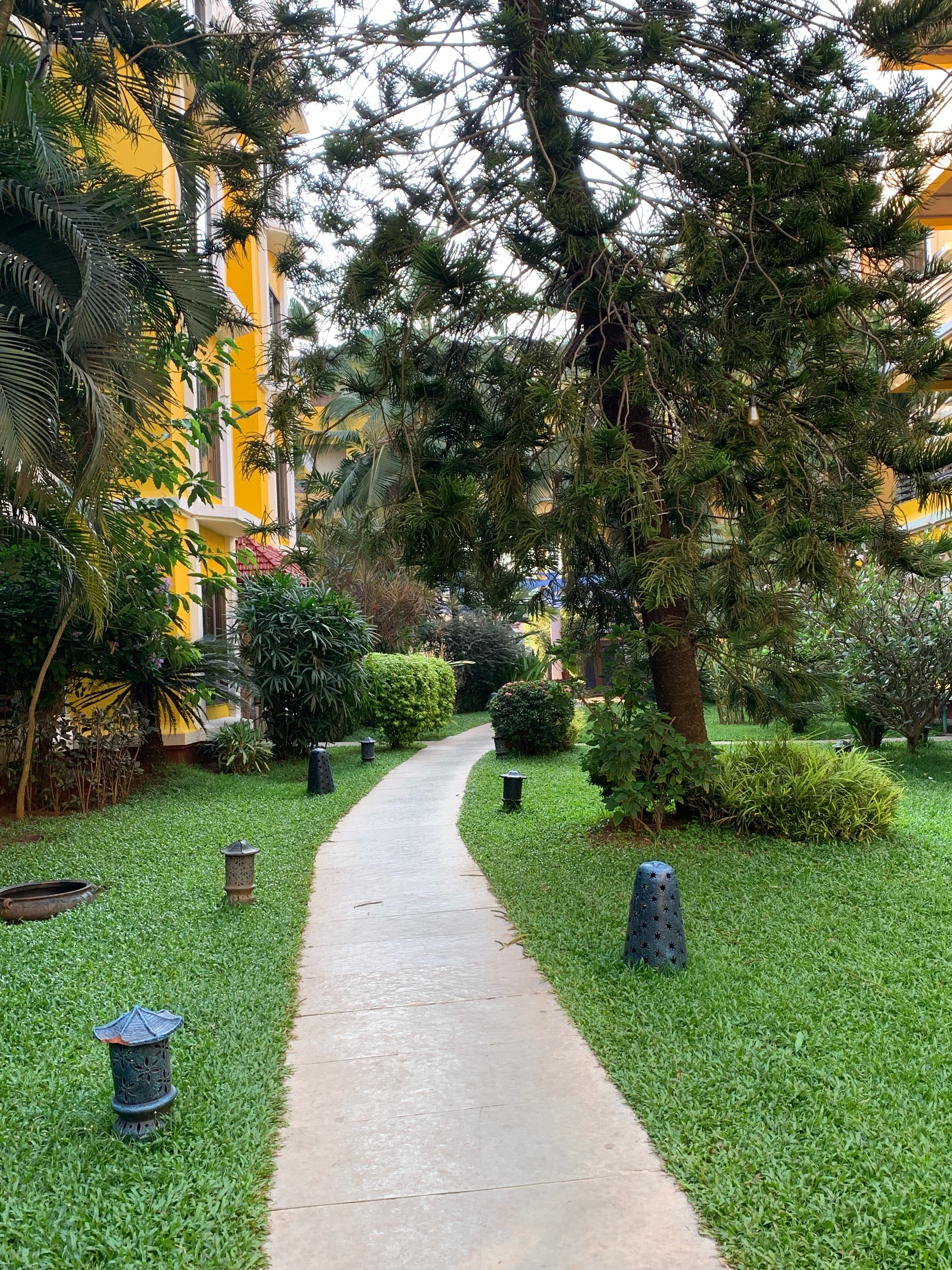 Фото Adamo The Bellus