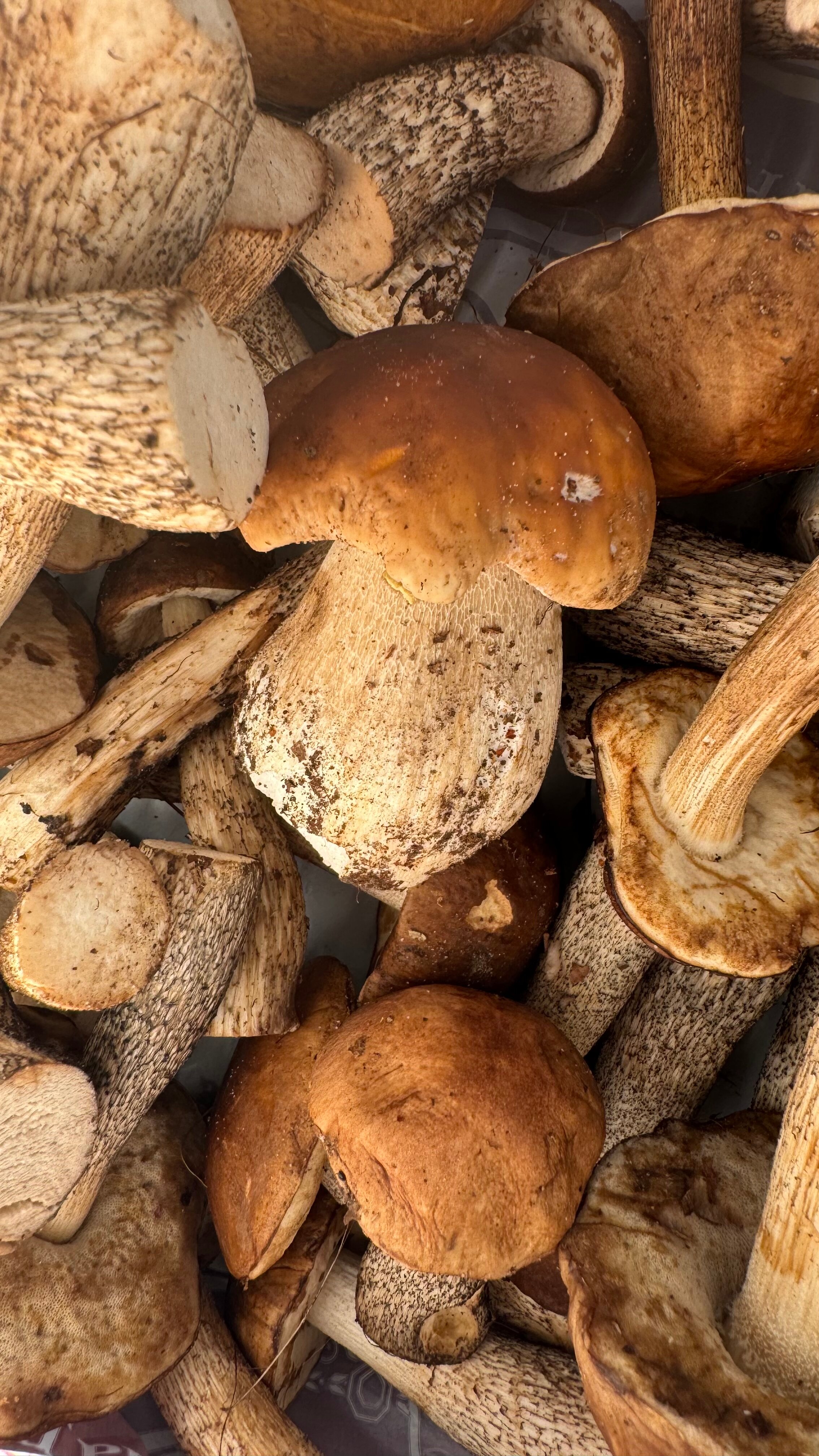 Фото Дом Варяга