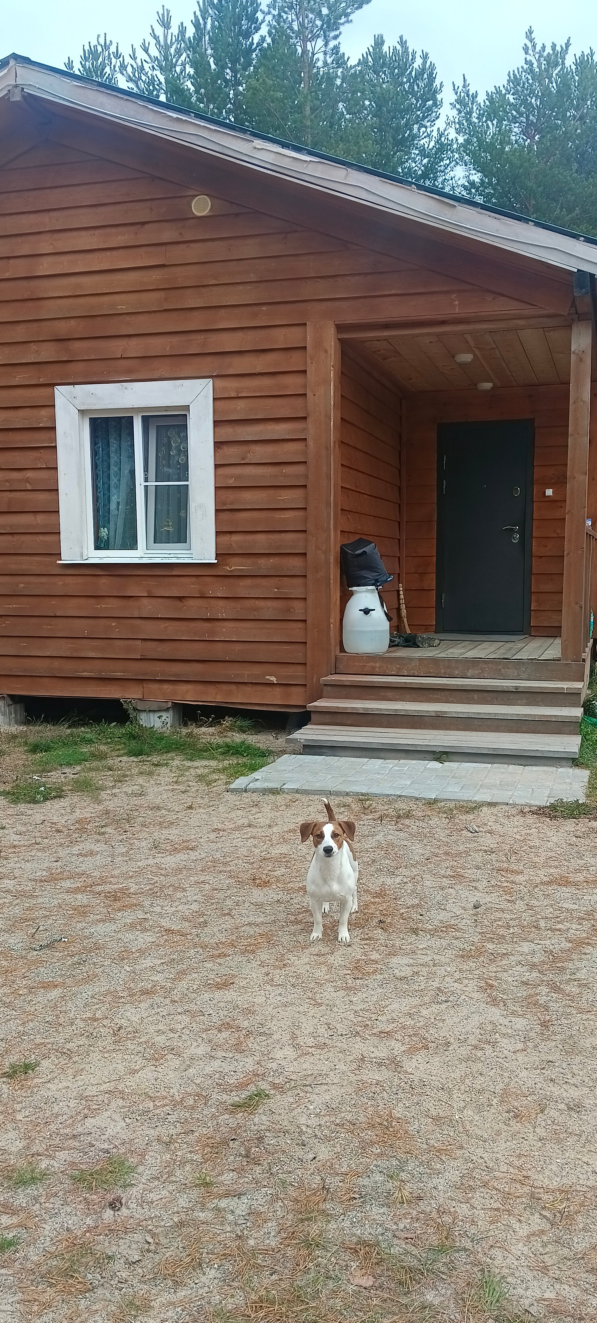 Фото Карельские зори