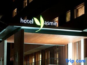 Гостиница Hotel Yasmin