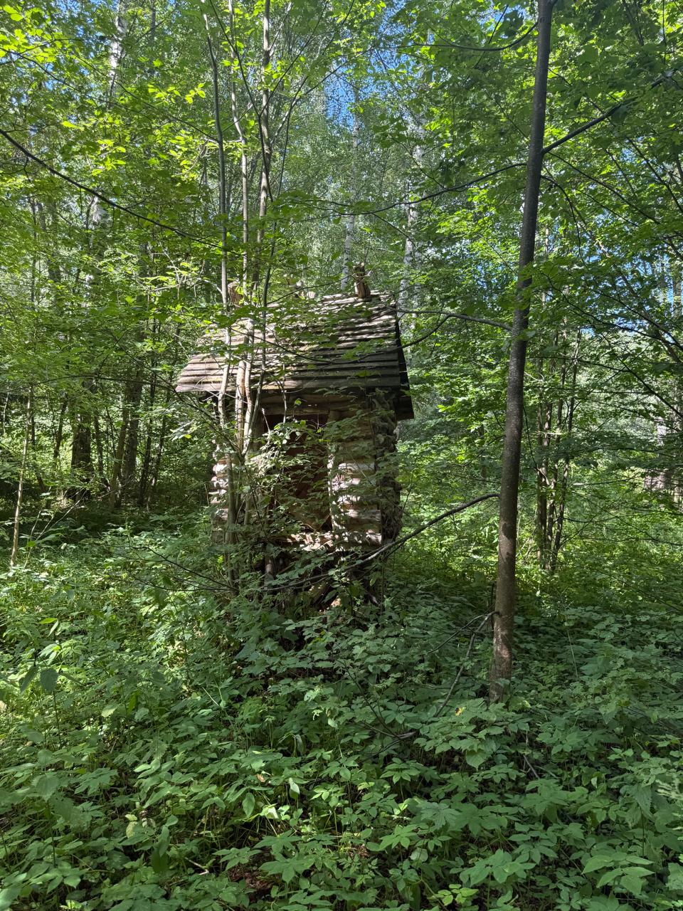 Фото Резиденция Товарищества Братьев Нобель